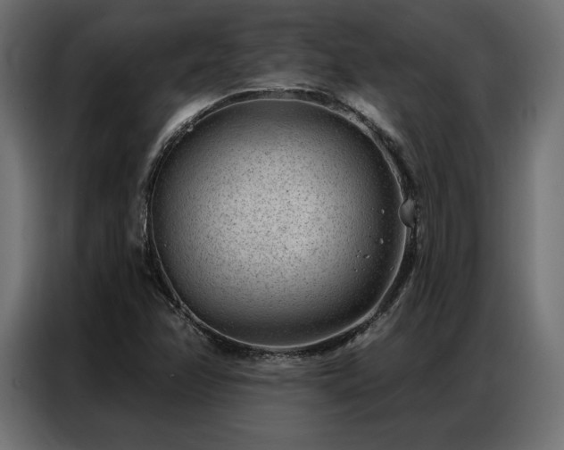 X0000086981358200704161441