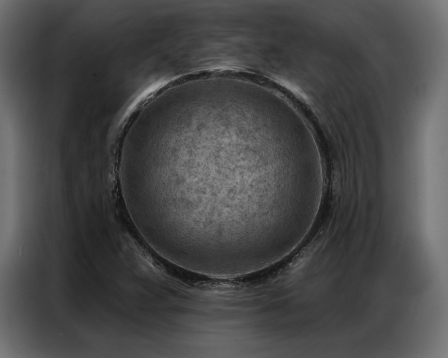 X0000086981359200704161441