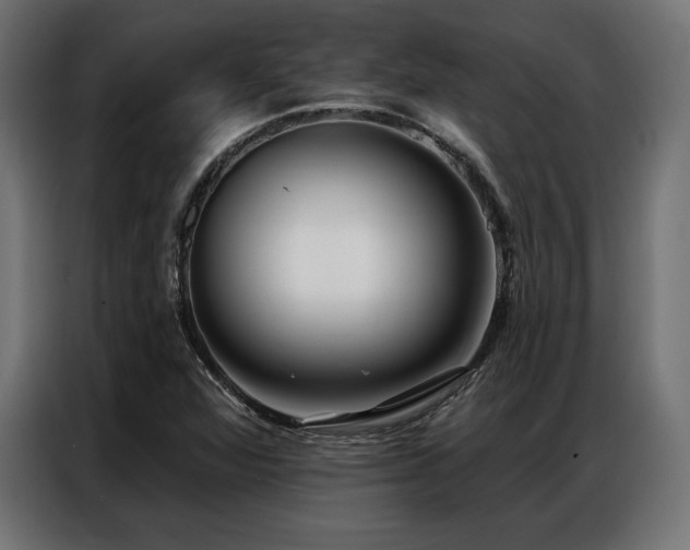 X0000086981360200704161441