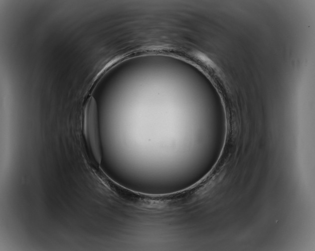 X0000086981361200704161441