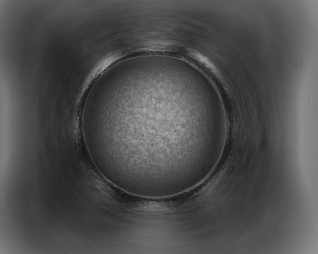 X0000086981362200704161441