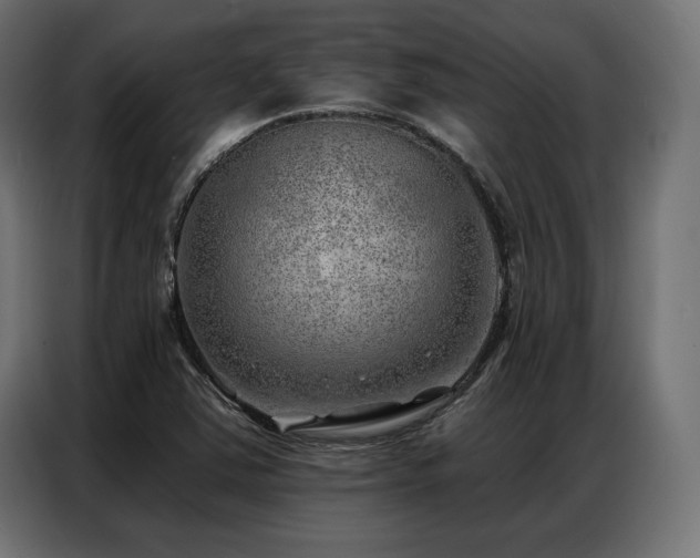 X0000086981363200704161441