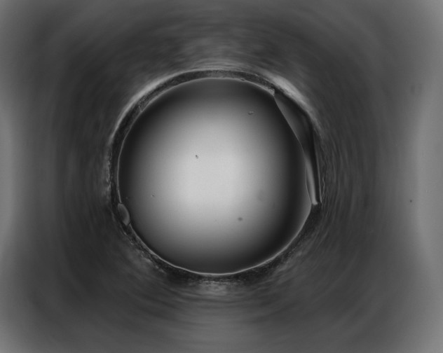 X0000086981364200704161441