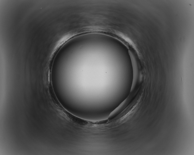 X0000086981365200704161441