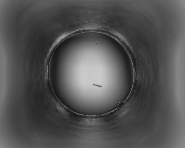 X0000086981366200704161441