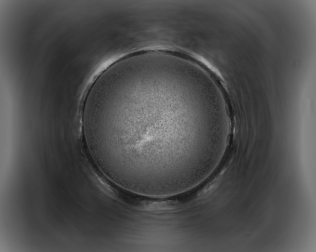 X0000086981367200704161441