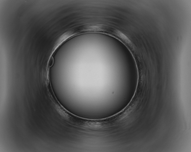 X0000086981370200704161440