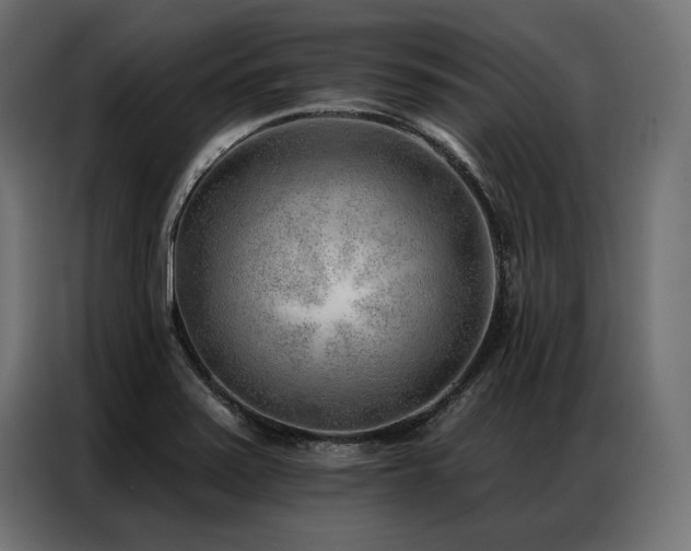 X0000086981371200704161440