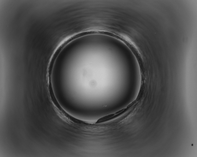 X0000086981372200704161440
