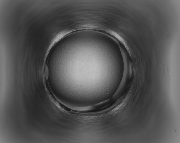 X0000086981373200704161440