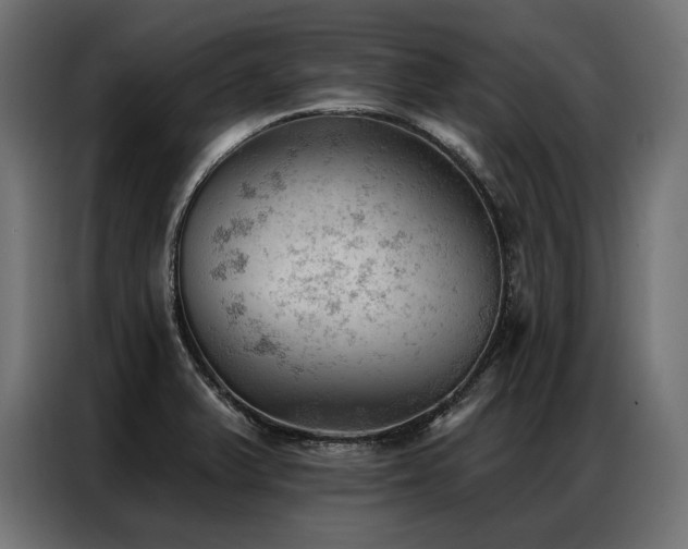 X0000086981375200704161440