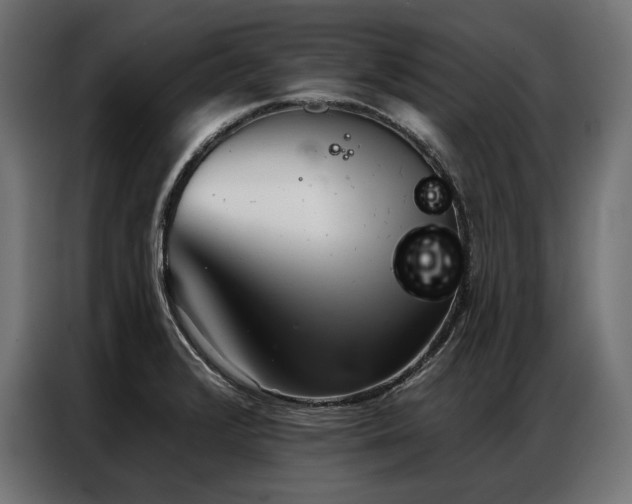 X0000086981376200704161440
