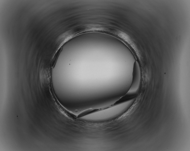 X0000086981377200704161440