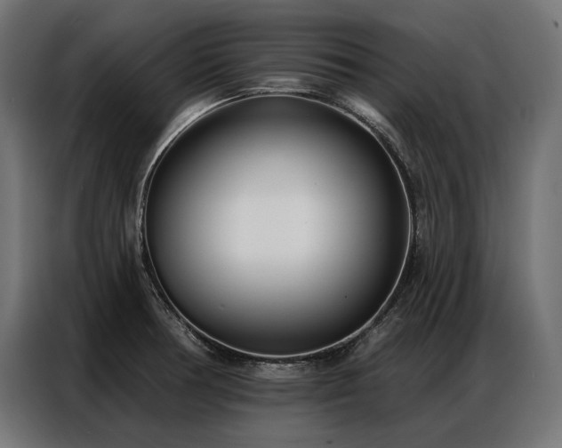 X0000086981378200704161440
