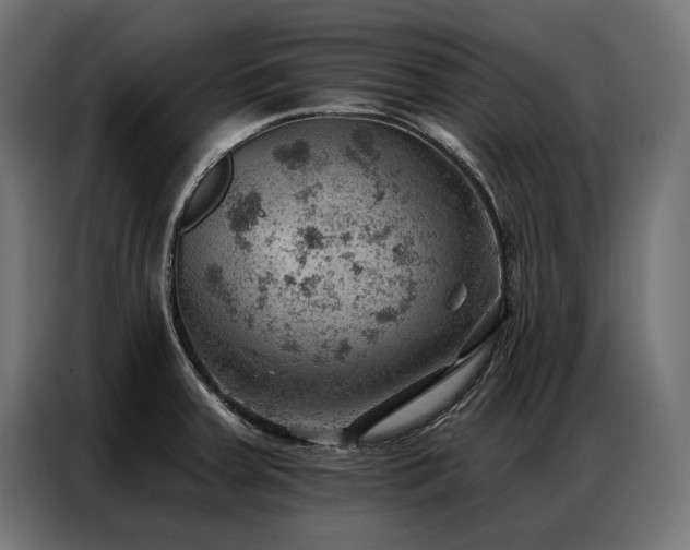 X0000086981379200704161440