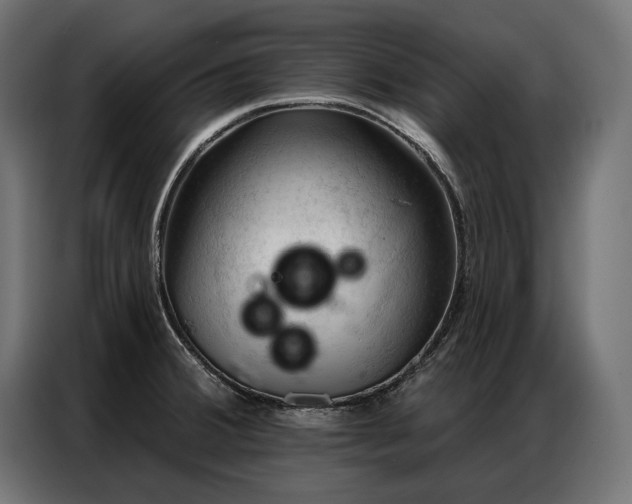 X0000086981380200704161440