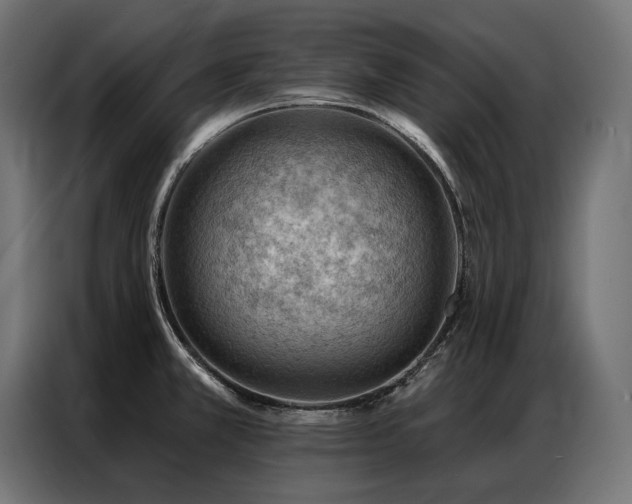 X0000086981381200704161440