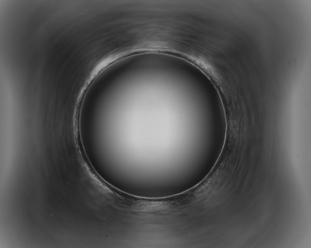 X0000086981382200704161440