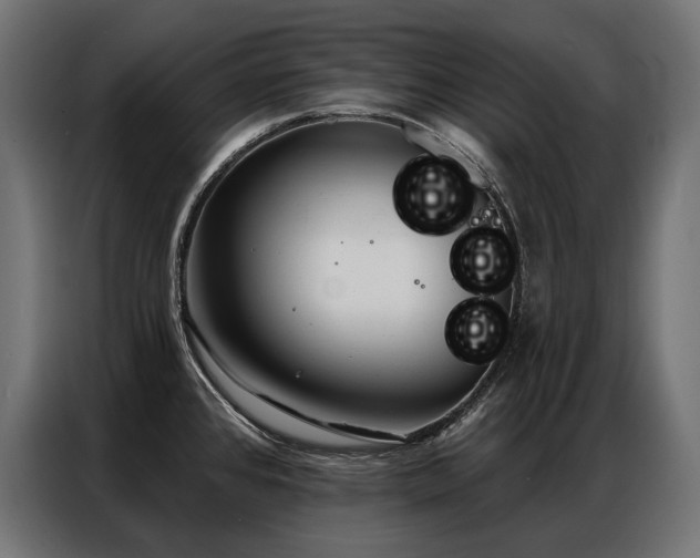 X0000086981384200704161440