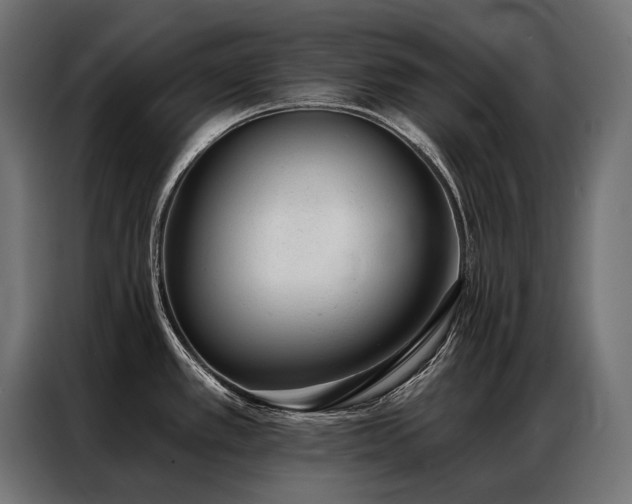 X0000086981389200704161440