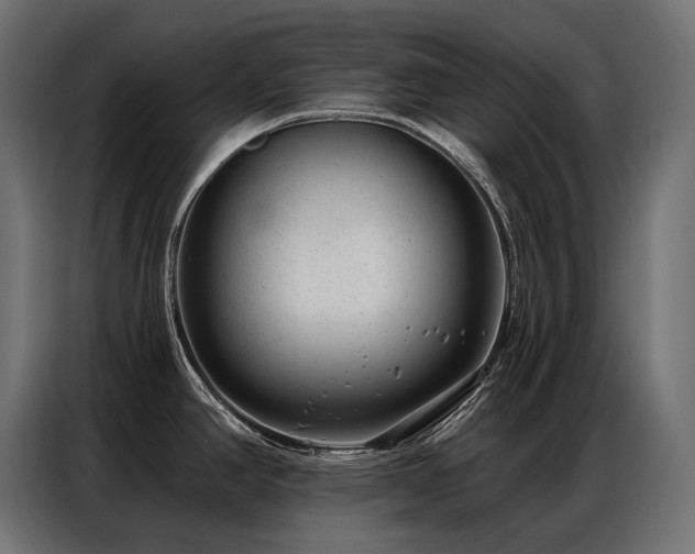 X0000086981390200704161440