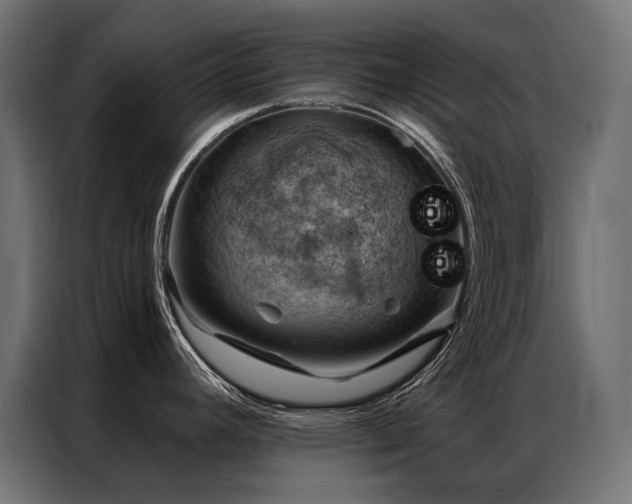X0000086981392200704161440