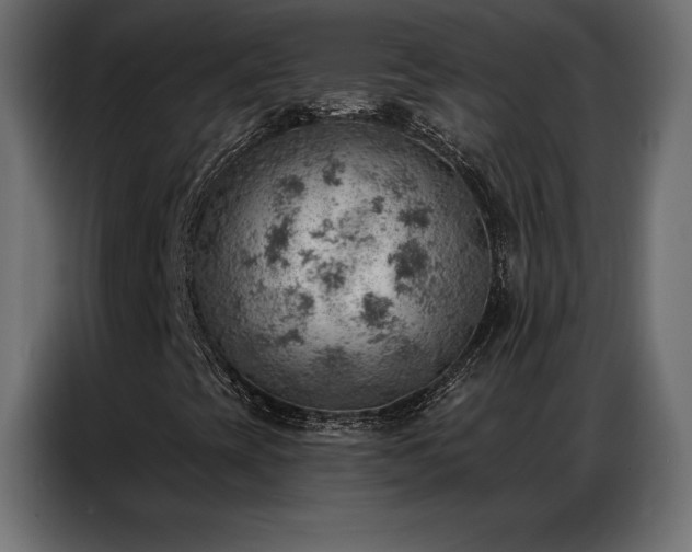 X0000086981393200704161440
