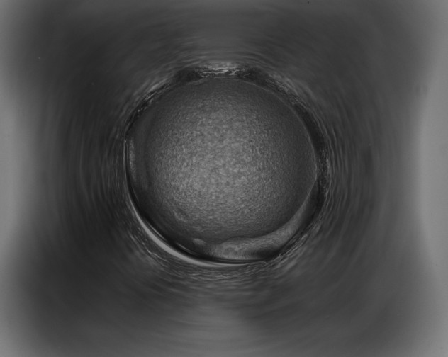 X0000086981394200704161440