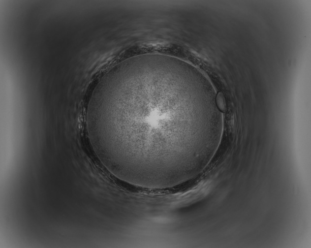 X0000086981397200704161440