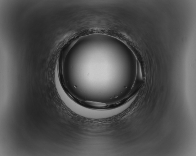 X0000086981398200704161440