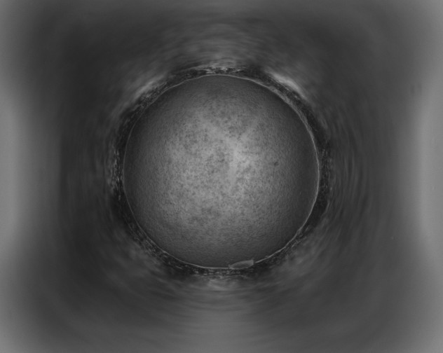 X0000086981399200704161440