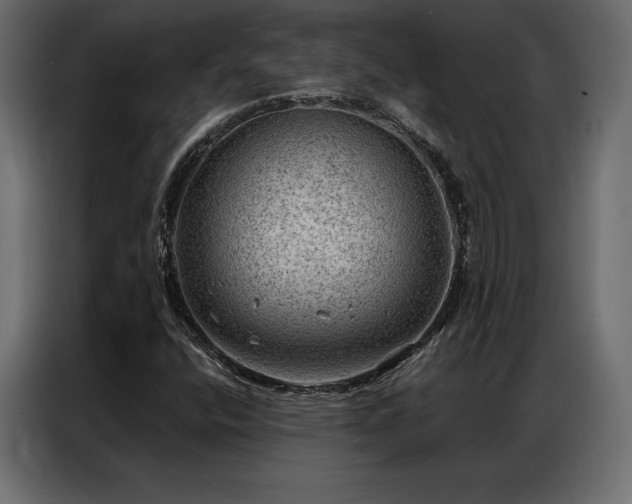 X0000086981400200704161440