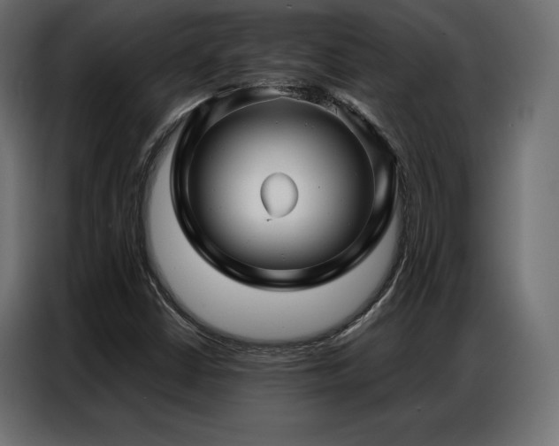 X0000086981402200704161440