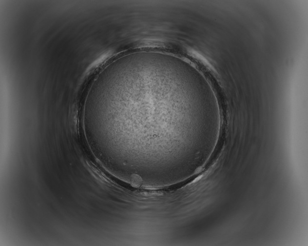 X0000086981403200704161440