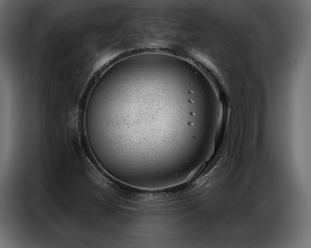 X0000086981404200704161440