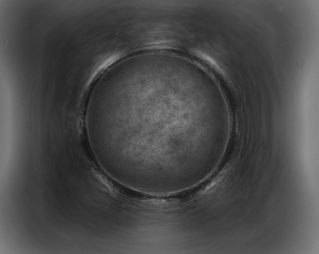 X0000086981405200704161440