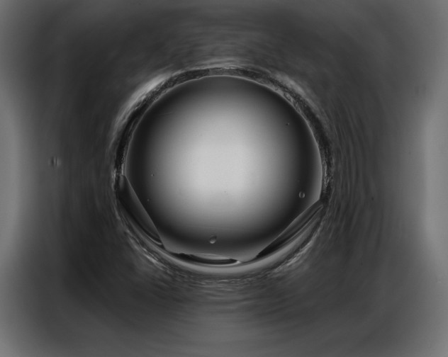 X0000086981406200704161440