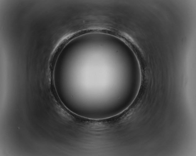 X0000086981408200704161440
