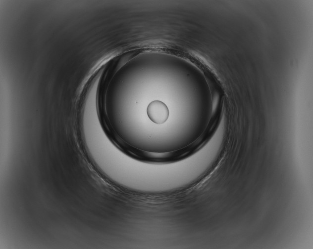 X0000086981410200704161440
