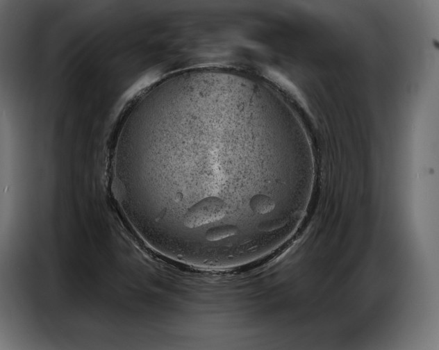 X0000086981411200704161440