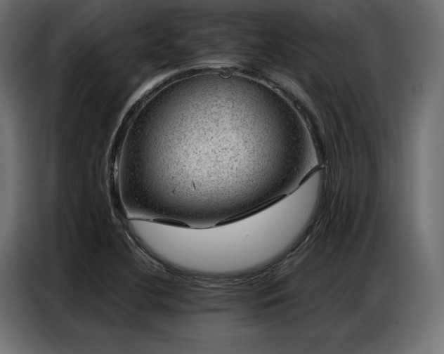 X0000086981412200704161440