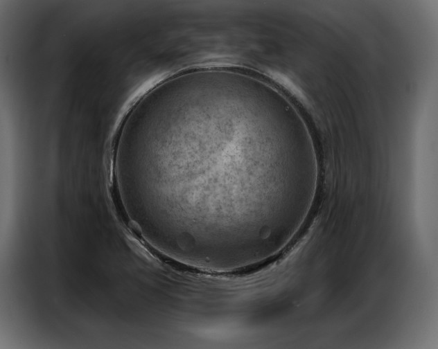 X0000086981413200704161440