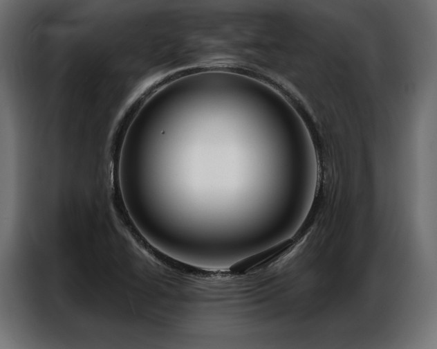 X0000086981414200704161440