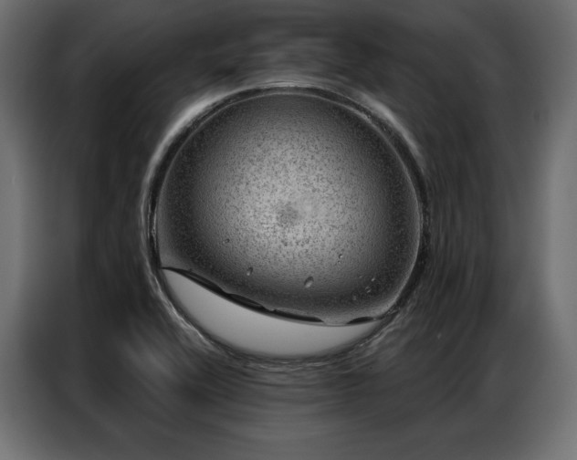 X0000086981416200704161440