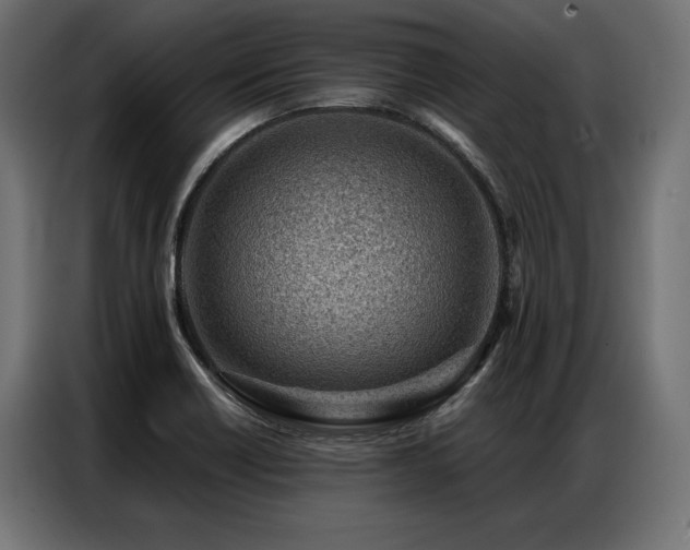 X0000086981418200704161440