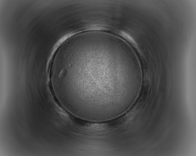 X0000086981419200704161440