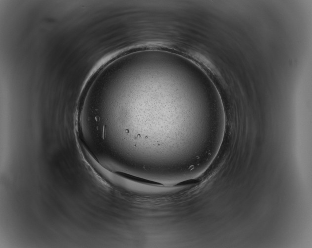 X0000086981420200704161440