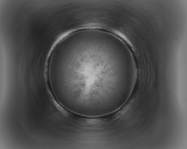 X0000086981421200704161440