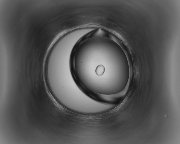 X0000086981422200704161440