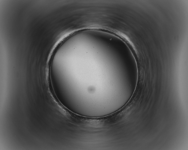 X0000086981424200704161440